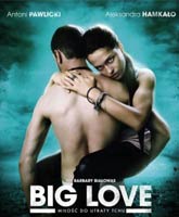 Big Love /  